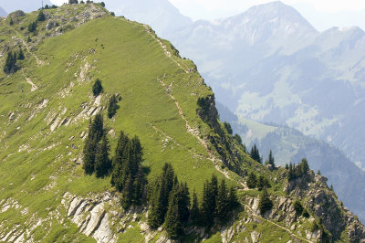_D2X3108 Schynige Platte.jpg