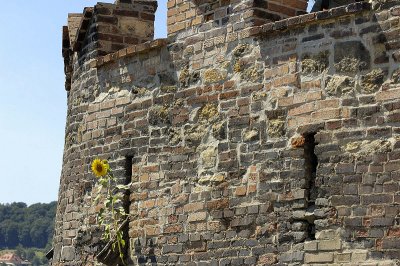 _D2X2100 Prague Castle Wall.jpg