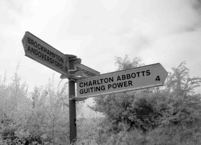 Cotswolds with Boris I/R