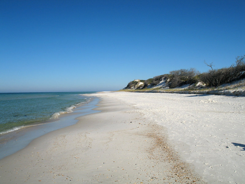 Beach and Dunes.jpg