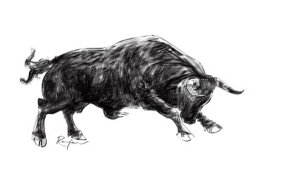 bull