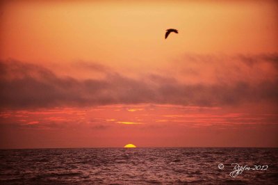   Sunrise Chincoteague NWR 