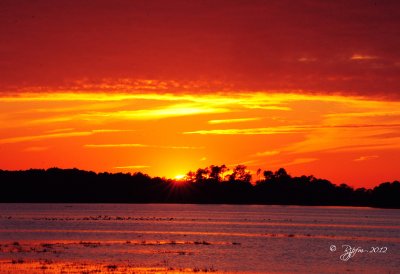 Sunset  Chincoteague NWR 