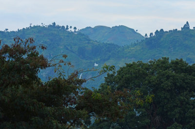 Mount Elgon.jpg