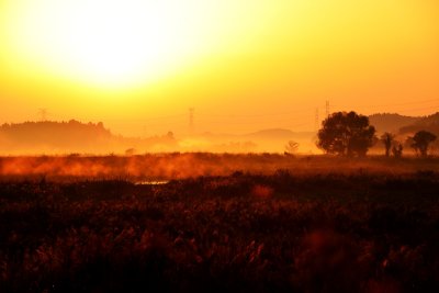 20121021_007w.jpg