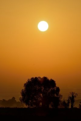 20121021_022w.jpg