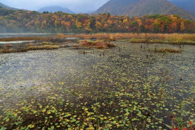 20121027_070w.jpg