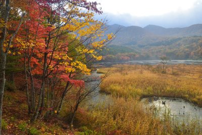 20121027_079w.jpg