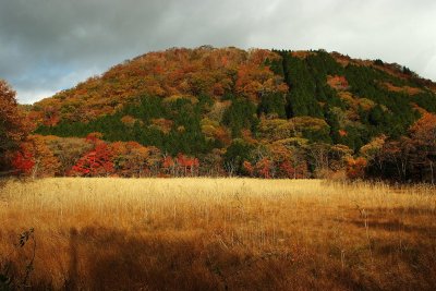 1211030082w.jpg