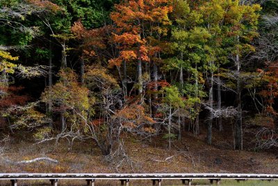 20121103_009w.jpg