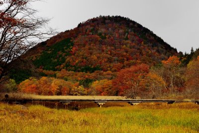 20121103_010w.jpg