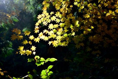 20121103_068w.jpg