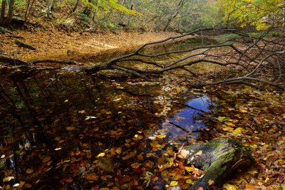 20121103_093w.jpg