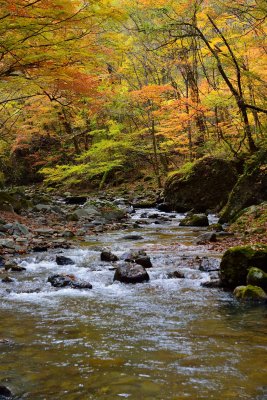 20121103_217w.jpg