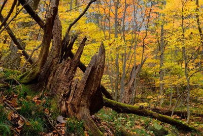 20121103_218w.jpg