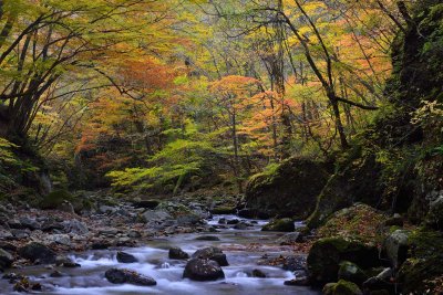 20121103_229w.jpg