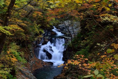 20121103_478w.jpg