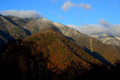 20121104_037w.jpg