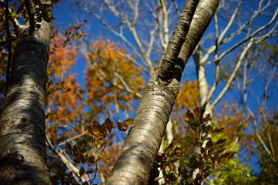 20121104_131w.jpg
