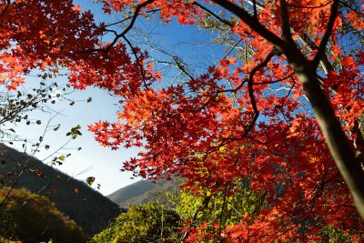 20121104_132w.jpg