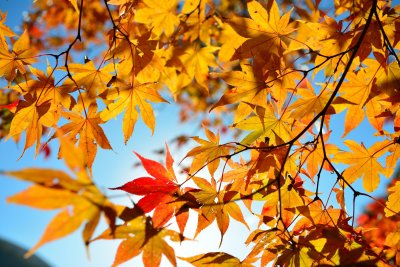 20121104_144w.jpg