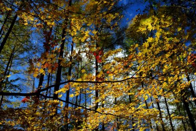 20121104_183w.jpg