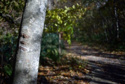 20121104_191w.jpg