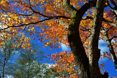 20121104_238w.jpg