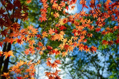 20121104_246w.jpg