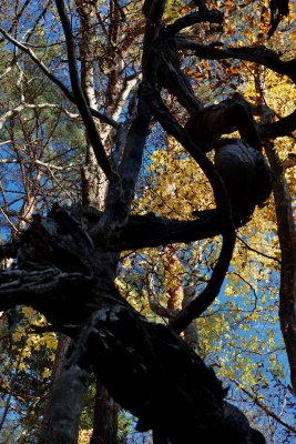 20121116_012w.jpg