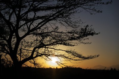2012-11-16_x 17w.jpg