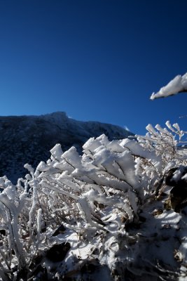 121125x0033w.jpg