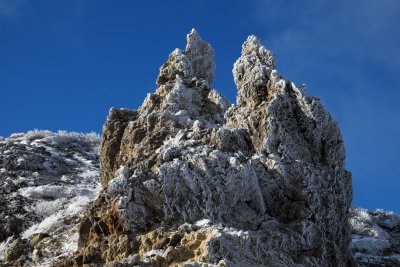 121125x0039w.jpg