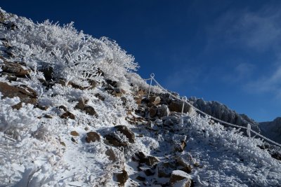 121125x0043w.jpg