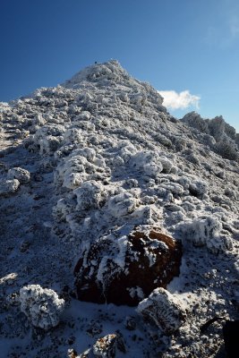 20121125_011w.jpg