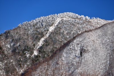 20130112_054w.jpg