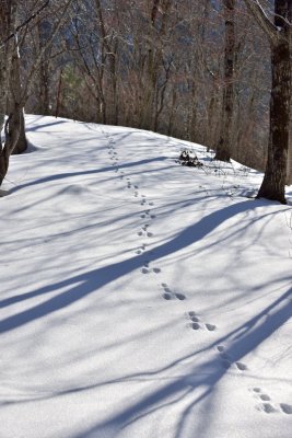 20130112_060w.jpg