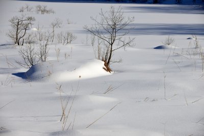 20130112_065w.jpg