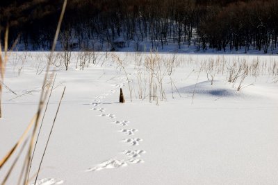 20130112_070w.jpg