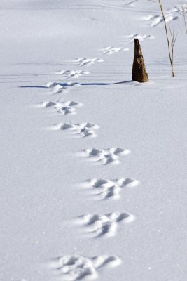 20130112_075w.jpg