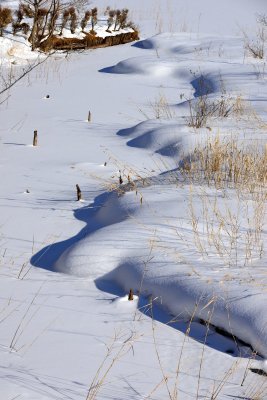 20130112_076w.jpg