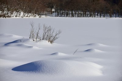 20130112_079w.jpg