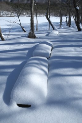 20130112x0015w.jpg