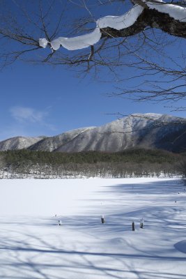 20130112x0016w.jpg