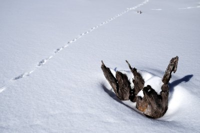 20130112x0033w.jpg