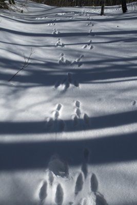 20130112x0084w.jpg