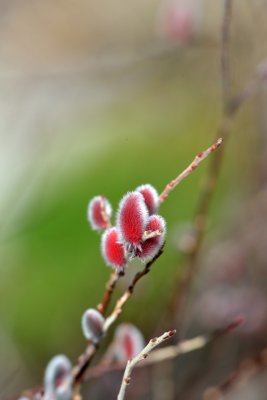 20130216_433w.jpg
