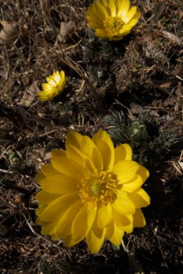 20130309x0073w.jpg