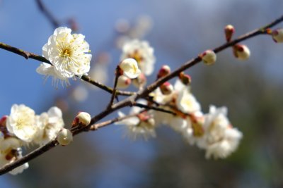 20130316x0027w.jpg