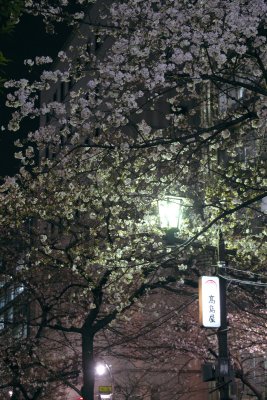 20130319x0044w.jpg